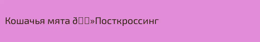 Кошачья мята 😻Посткроссинг